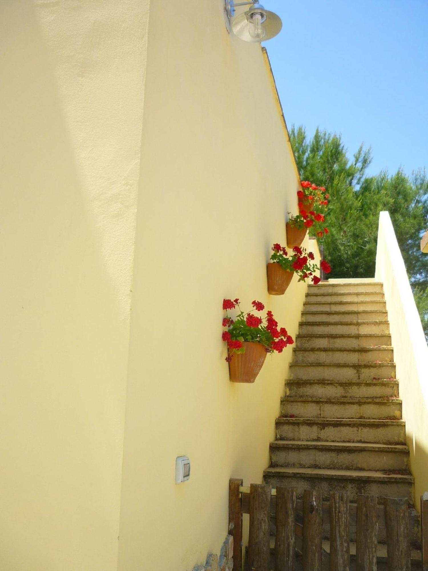 Agriturismo Tenuta La Siesta Gallipoli Extérieur photo