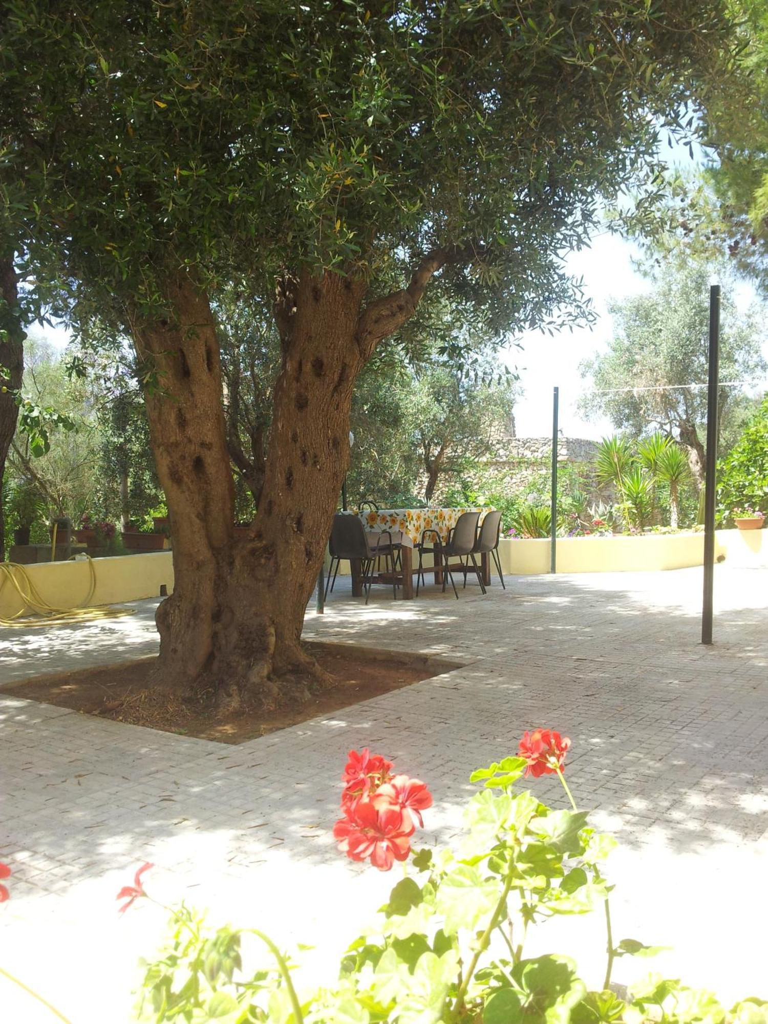 Agriturismo Tenuta La Siesta Gallipoli Extérieur photo