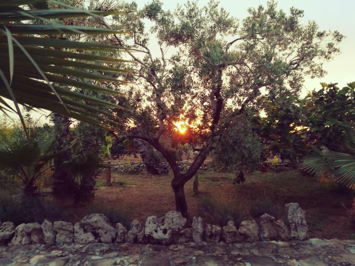 Agriturismo Tenuta La Siesta Gallipoli Extérieur photo