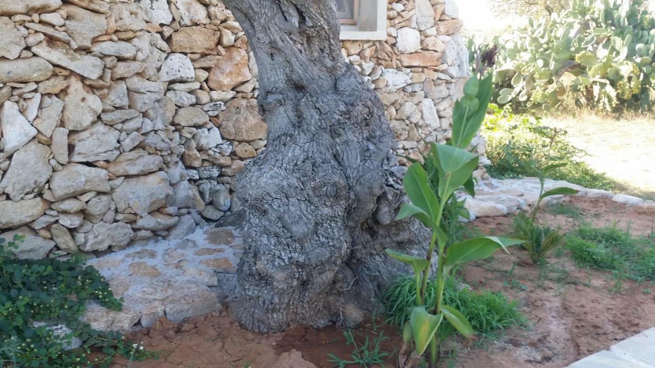 Agriturismo Tenuta La Siesta Gallipoli Extérieur photo